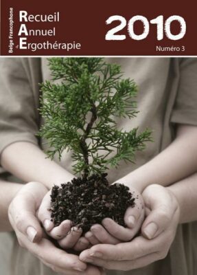 RAE 2010 N°3 Vers. Numérique